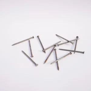 Ceiling Nails